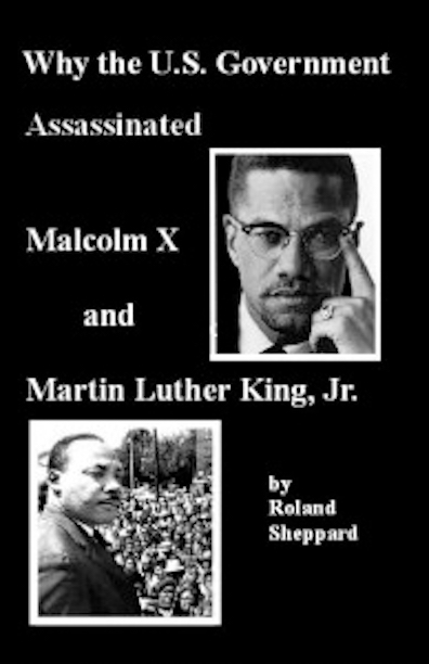 malcolm x research paper