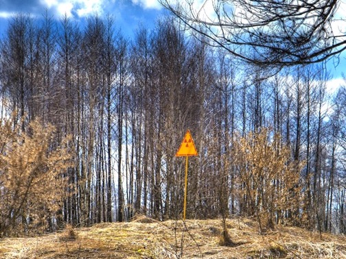 Radioactivity warning sign on the hill at the east end of Chernobyl's Red Forest, so called due to the characteristic hue of the pine trees killed by high levels of radiation after the disaster. Photo: Timm Suess via Wikimedia Commons (CC BY-SA).