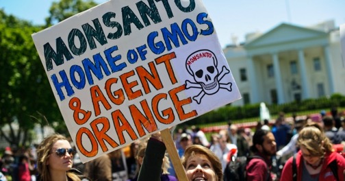 Monsanto