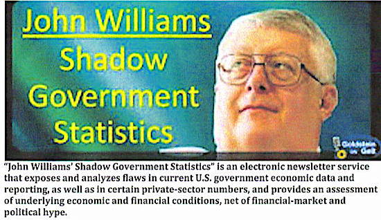 John Williams, Shadow Government Statistics Banner