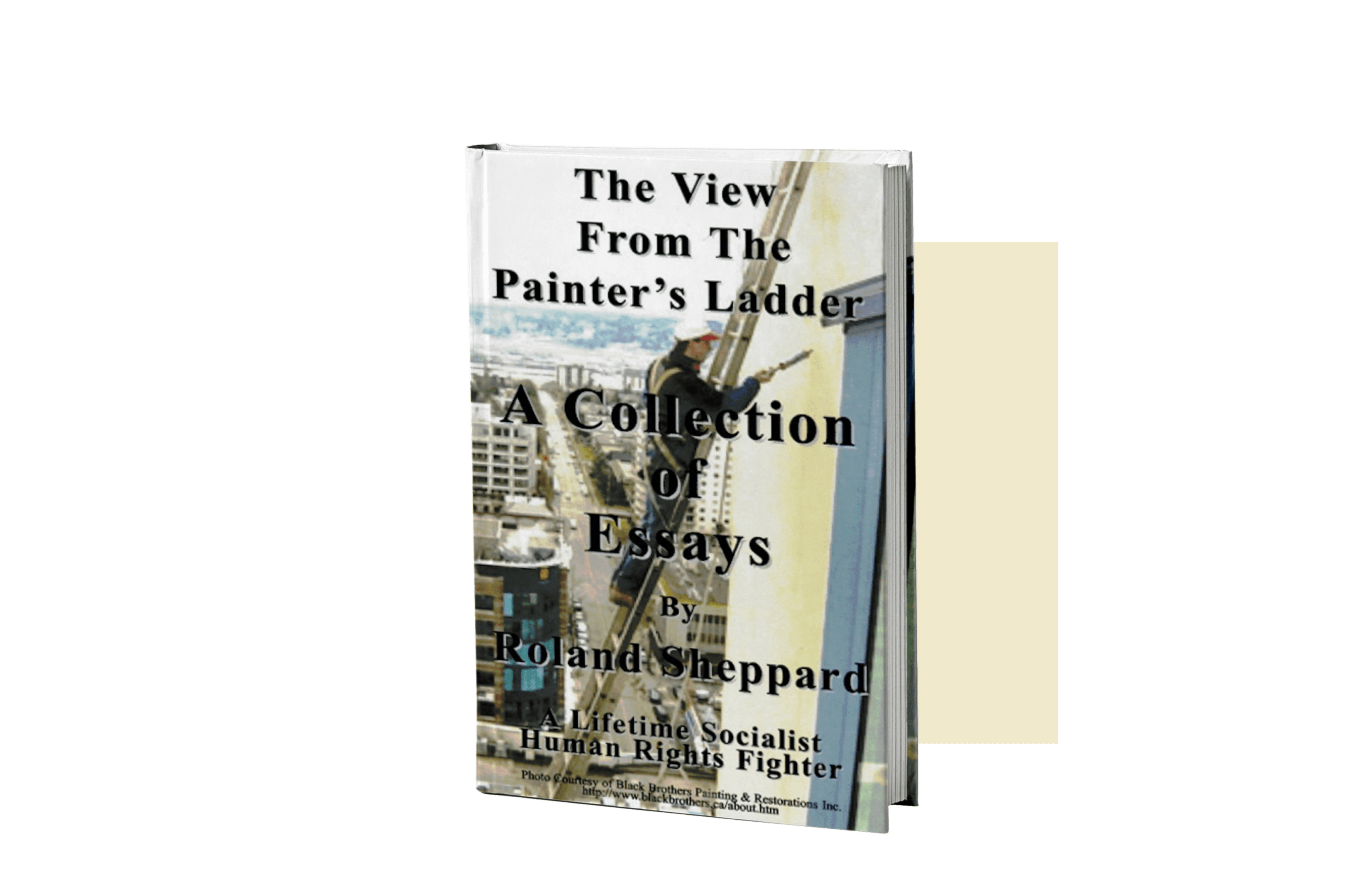Book cover with man painting on ladder.