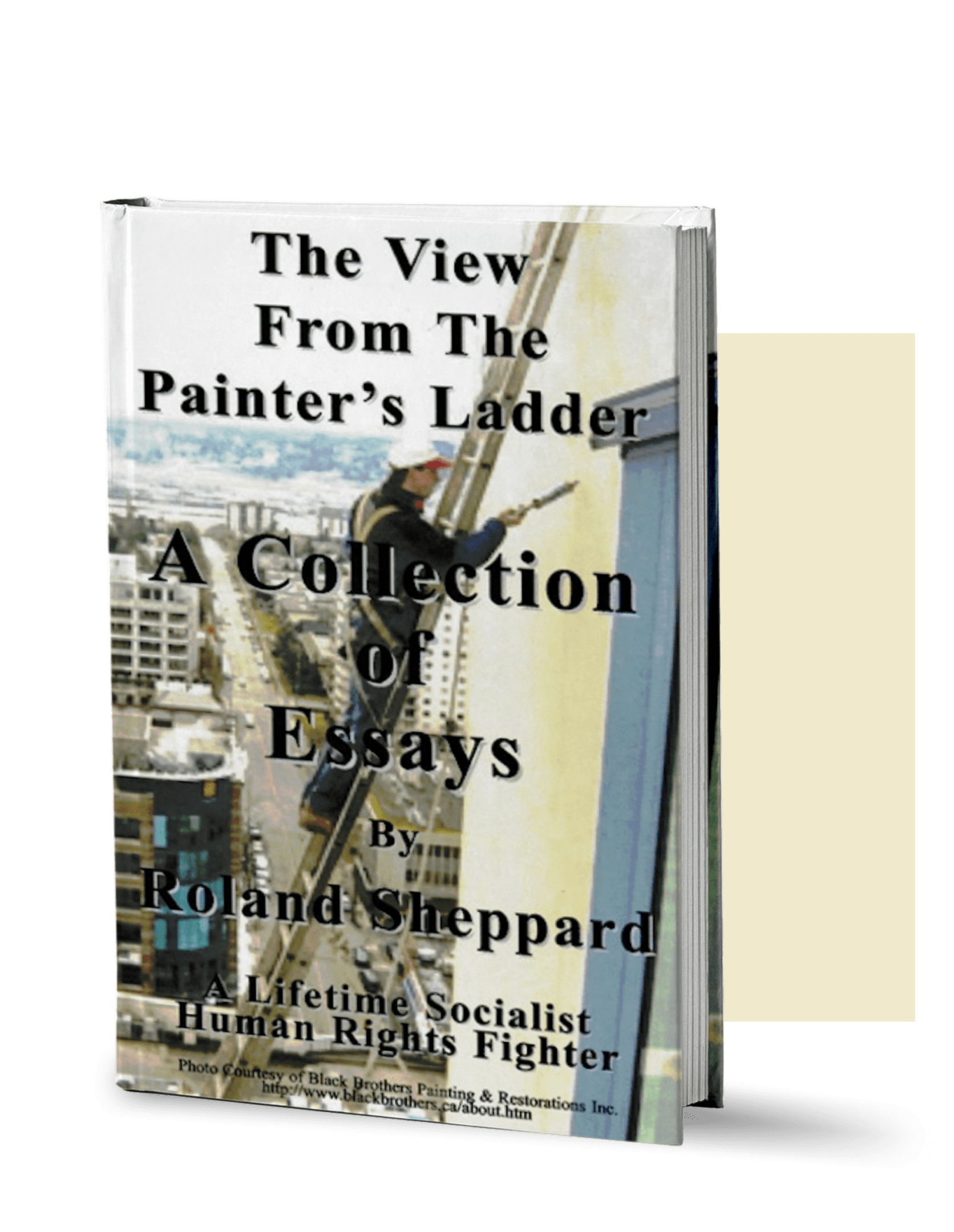 Book cover: "The View From The Painter's Ladder".