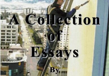 Book cover: "The View From The Painter’s Ladder.