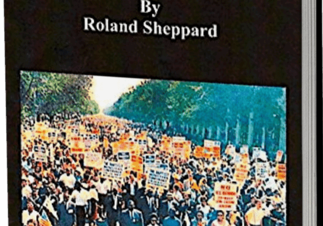Civil Rights Movement book cover with protest image.
