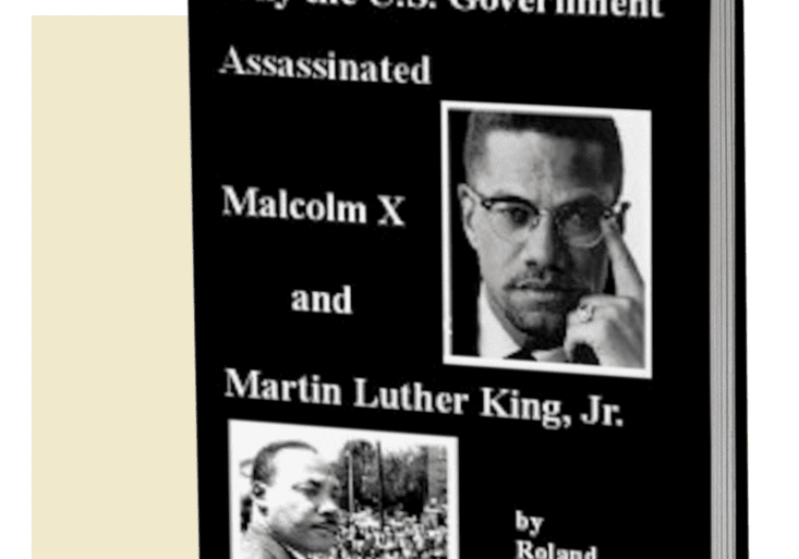 Book cover on Malcolm X and Martin Luther King.